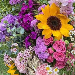 Meet your Posher, Rhonda